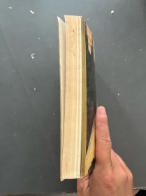 中国快车道:市场经济放眼录