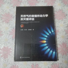 天然气约束爆炸动力学及灾害评估