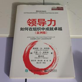 领导力：如何在组织中成就卓越（亚洲版）