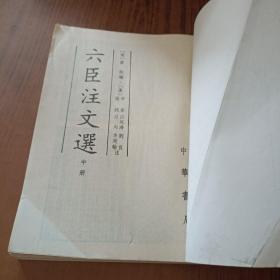 六臣注文选(中册)