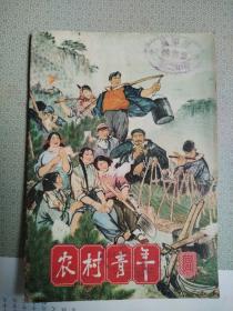 农村青年 1965年第5期