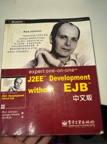 expert one-on-one J2EE Development without EJB 中文版