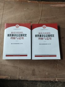 最高人民法院新民事诉讼证据规定理解与适用（上下）