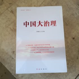 中国大治理