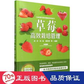 草莓高效栽培管理 种植业 作者 新华正版