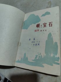 啊！宝石