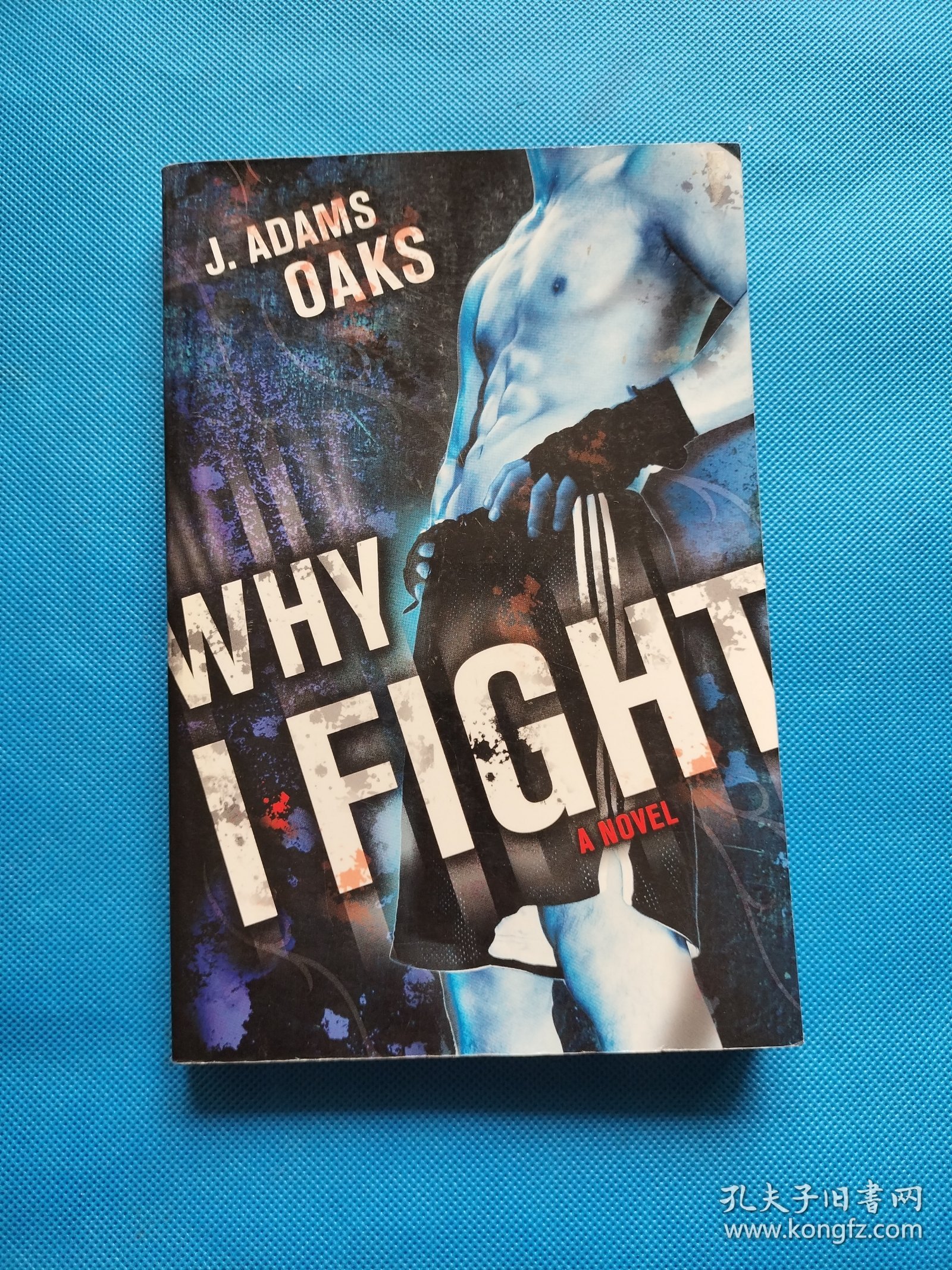 Why I Fight