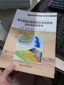 库车前陆冲断带新生界砾岩层分布与识别技术