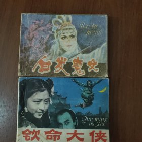 白发魔女，钦命大侠