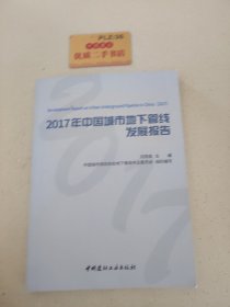 2017年中国城市地下管线发展报告