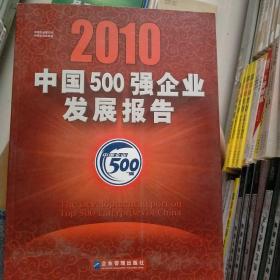 2010中国500强企业发展报告