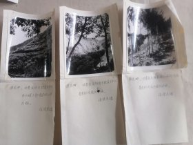 甘肃省庆阳防护林建设一组有说明