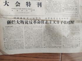 上海老报纸，大会特刊，张浩波，1967年