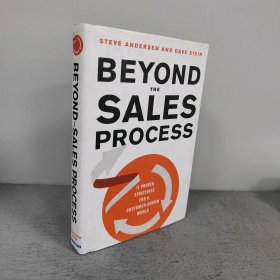 【英文原版】Beyond the Sales Process