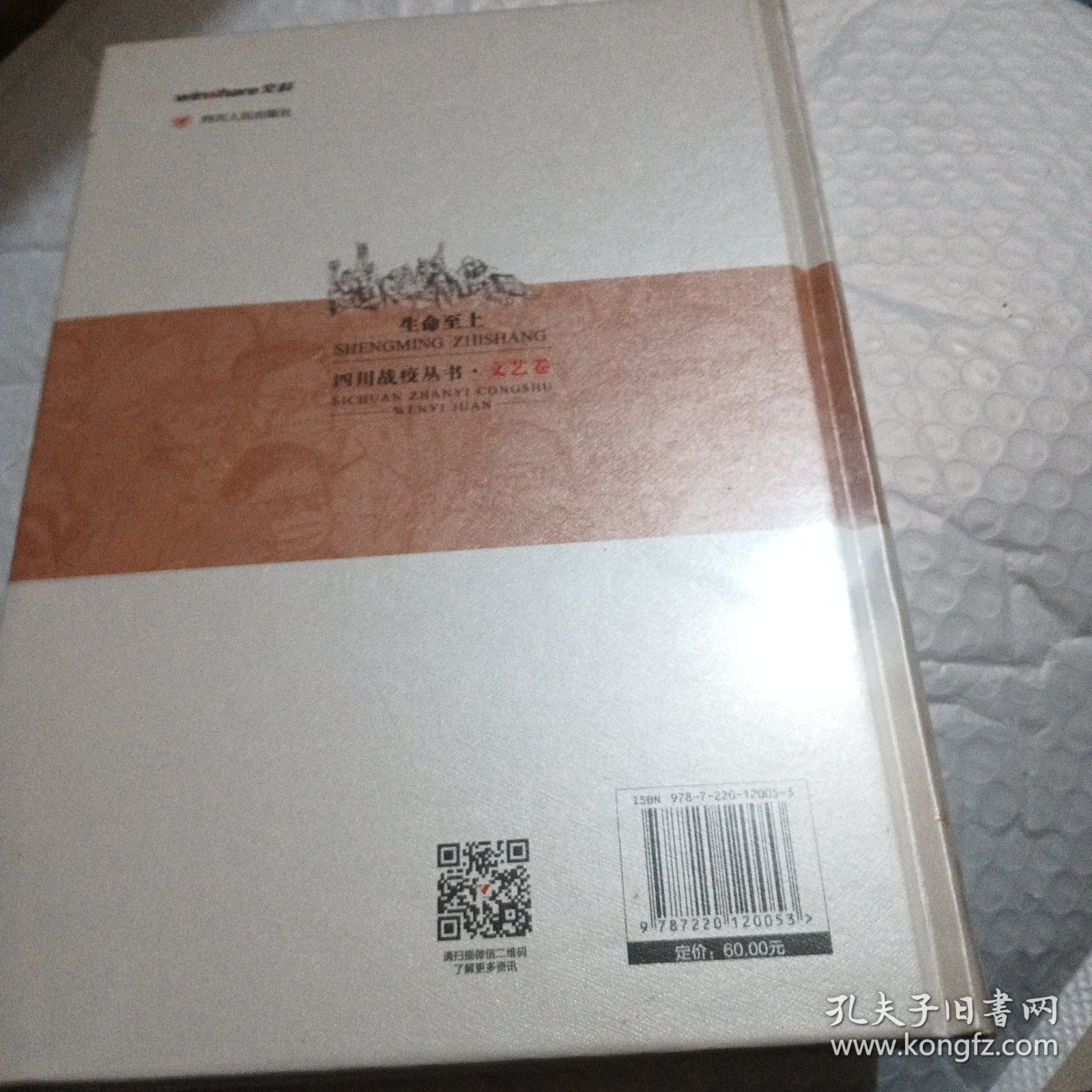 生命至上：四川战疫丛书·文艺卷
