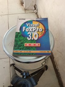 Visual FoxPro 3.0基础篇