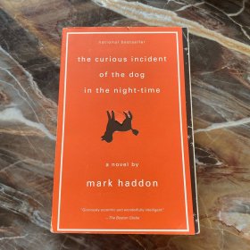 The Curious Incident of the Dog in the Night-Time