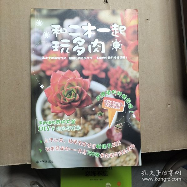 和二木一起玩多肉