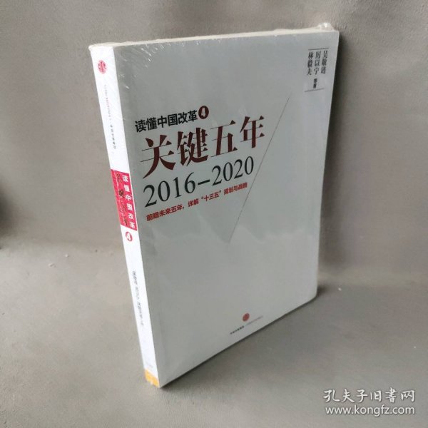 读懂中国改革4：关键五年2016--2020