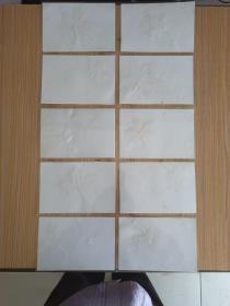 北京风光 红叶标本(10张 内塑红叶)