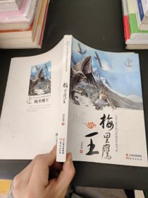 中国儿童文学大奖获奖作家书系：梅里鹰王