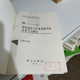 知识溢出与产业集群中的企业学习研究