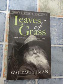 leaves of grass(the original 1855 edition) 侧面破损