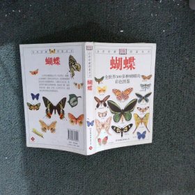 蝴蝶与蛾：全世界500多种蝴蝶的彩色图鉴