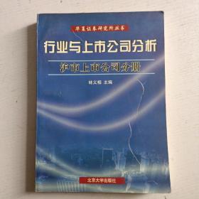 行業(yè)與上市公司分析.滬市上市公司分冊