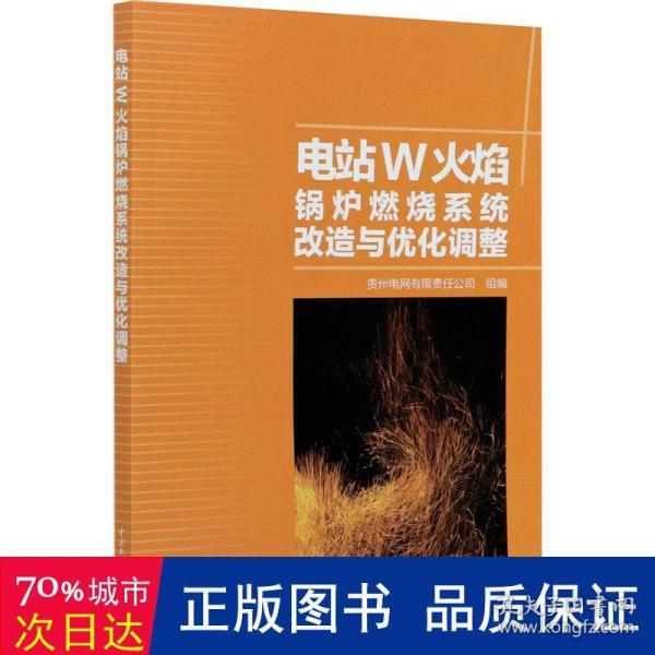 电站W火焰锅炉燃烧系统改造与优化调整