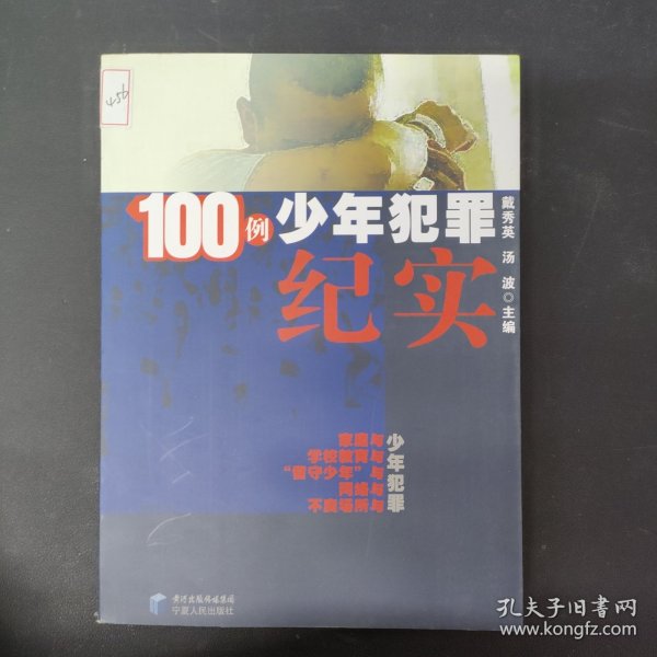 100例少年犯罪纪实