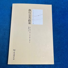 执行公共政策