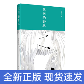 忧伤的野马