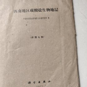 西南地区碳酸盐生物地层插图七张