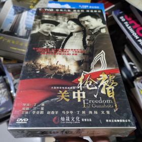 连续剧电视剧： 关中枪声 李亚鹏 12张 dvd