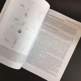 BIOPHYSICS OF COMPUTATION（计算的生物物理学）