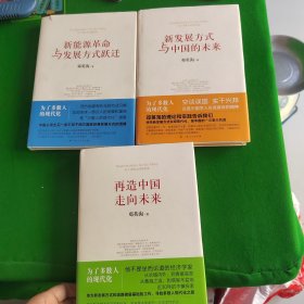 《新发展方式与中国的末来》《新能源革命与发展方式跃迁》《再造中国 走向未来》3本合售