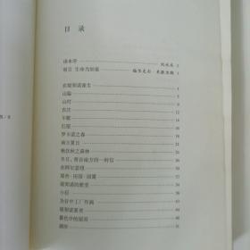 堤契诺之歌：散文、诗与画（精装