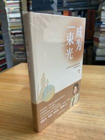 成为一束光（原塑封）精装