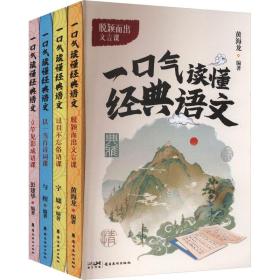 一气读懂经典语文（全4册） 文教学生读物 彭建华