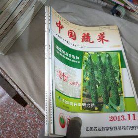 中国蔬菜2013/5、11