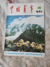 中国青年1981年16