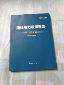 国际电力发展报告2024