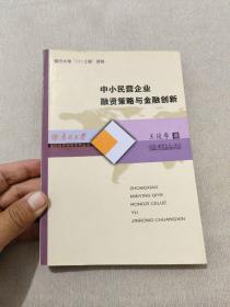 中小民营企业融资策略与金融创新