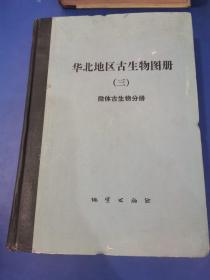 华北地区古生物图册（三）微体古生物分册