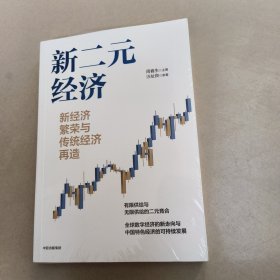 新二元经济:新经济繁荣与传统经济再造【原版 有塑封