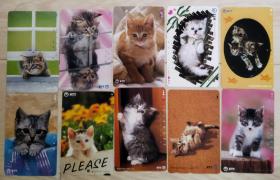 日本电话卡～动物/猫专题--猫(3)10枚合售（过期废卡，收藏用）