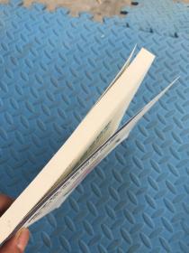 电子技术基础与技能一学习指导与同步训练（第三版）（有瑕疵如图）