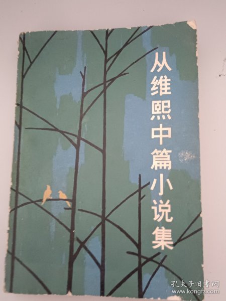 从维熙中篇小说集