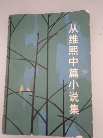 从维熙中篇小说集